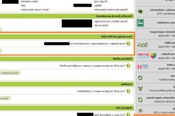 Jak zalogować się do systemu zus PUE – instrukcja krok po kroku