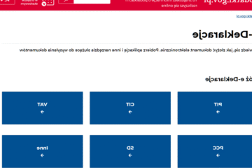 PIT online: Deklaracja podatkowa przez internet - jak złożyć?