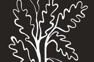 Sklep z rękodziełem: Wyjątkowe wyroby dla miłośników rękodzieła