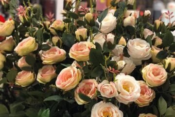 Wynajem ścianek kwiatowych na każdą okazję - szeroki wybór i niskie ceny