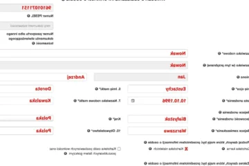 Zaświadczenie o niekaralności online: Jak uzyskać, ważność, procedura
