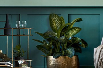 Oryginalne i stylowe liście dekoracyjne: inspiracje i pomysły dla wystroju wnętrz