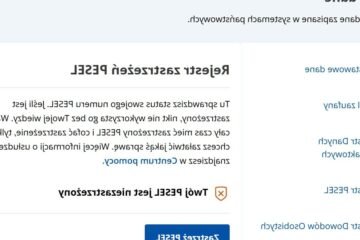 PESEL: Co to jest i jak sprawdzić numer pesel online?